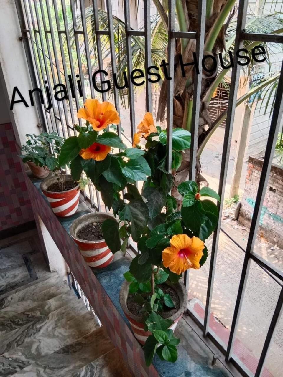 Anjali Guest House Digha (West Bengal) Exterior foto